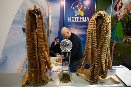 07.02.2023, Москва. Витрина с рыбной продукцией на выставке «Продэкспо» 2023 в Москве.