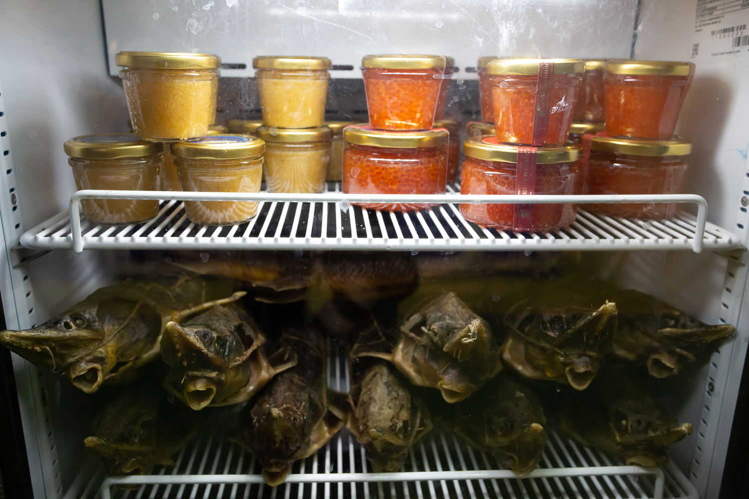 07.02.2023, Москва. Красная икра и копчёная стерлядь в витрине на выставке  «Продэкспо» 2023.